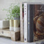 Bread of Life: Savoring the All-Satisfying Goodness of Jesus through the Art of Bread Making
