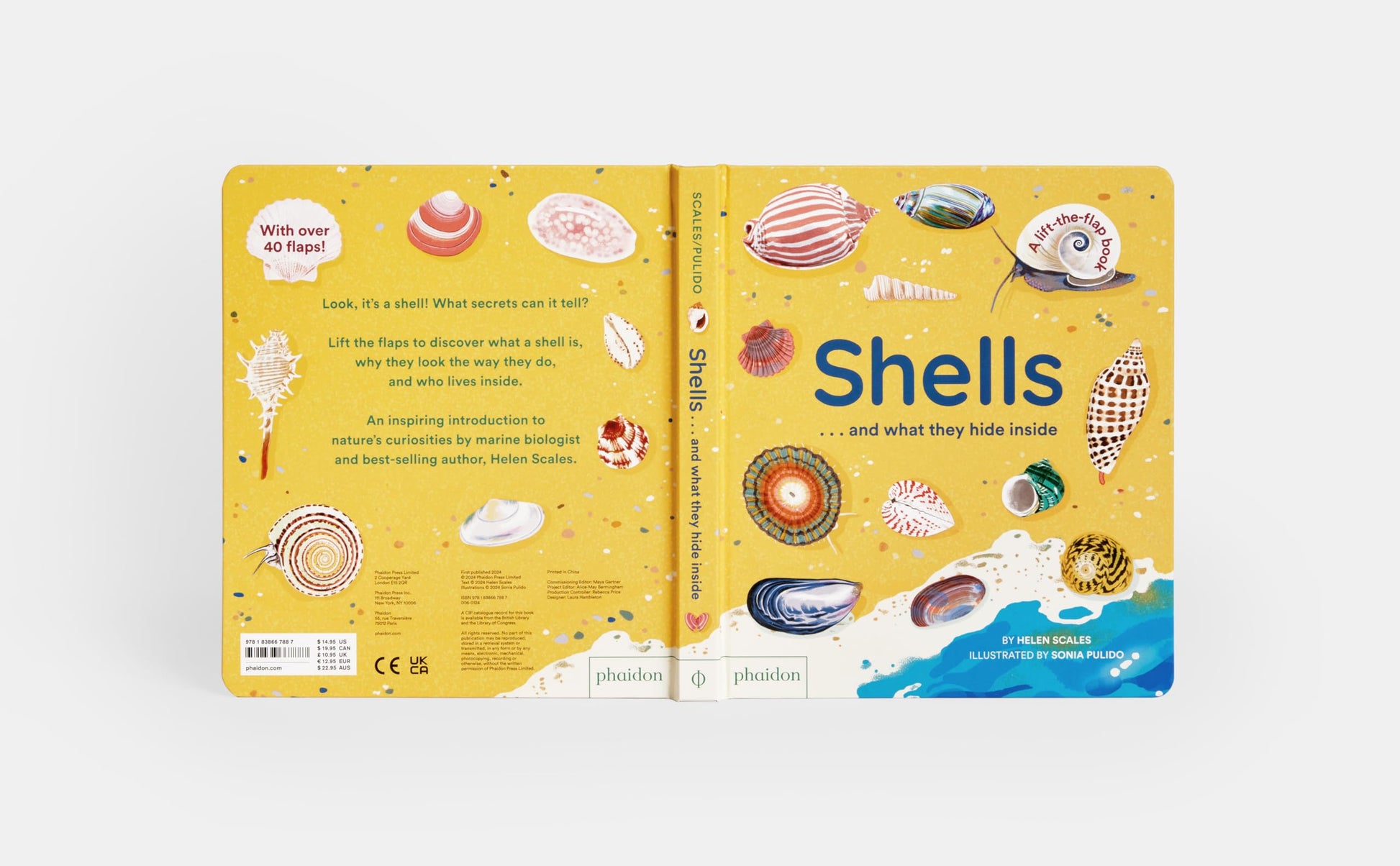 Shells... and what they hide inside: A Lift-the-Flap Adventure