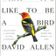 What It's Like to Be a Bird: From Flying to Nesting, Eating to Singing--What Birds Are Doing, and Why (Sibley Guides)