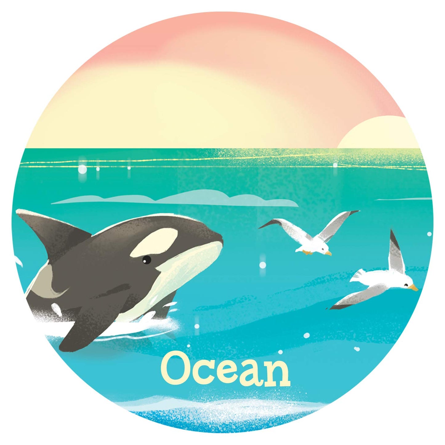 Busy Noisy Ocean (Early Bird Sound Books)
