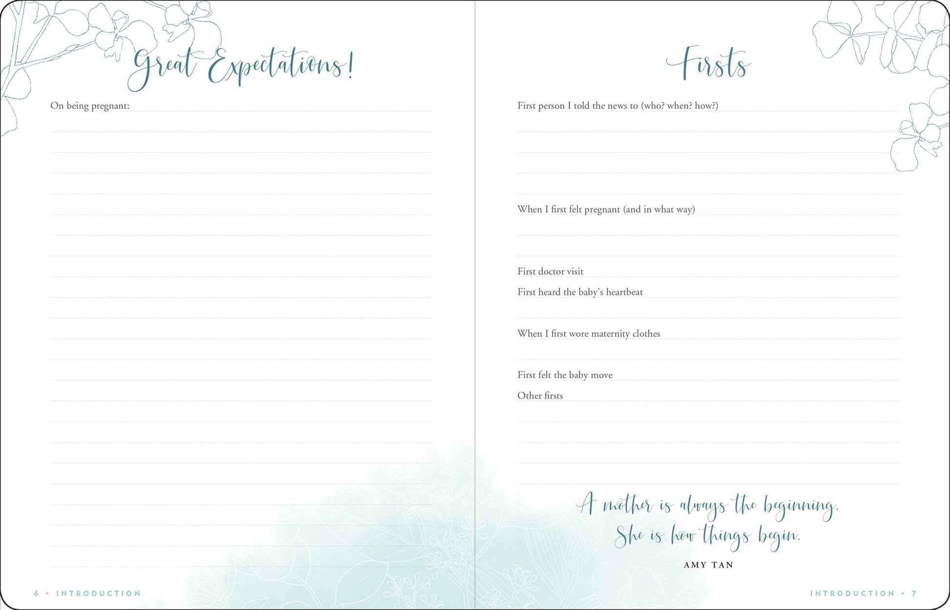 Pregnancy Journal: A Week-By-Week Guide to a Happy, Healthy Pregnancy (Deluxe, Cloth-bound 3rd edition)