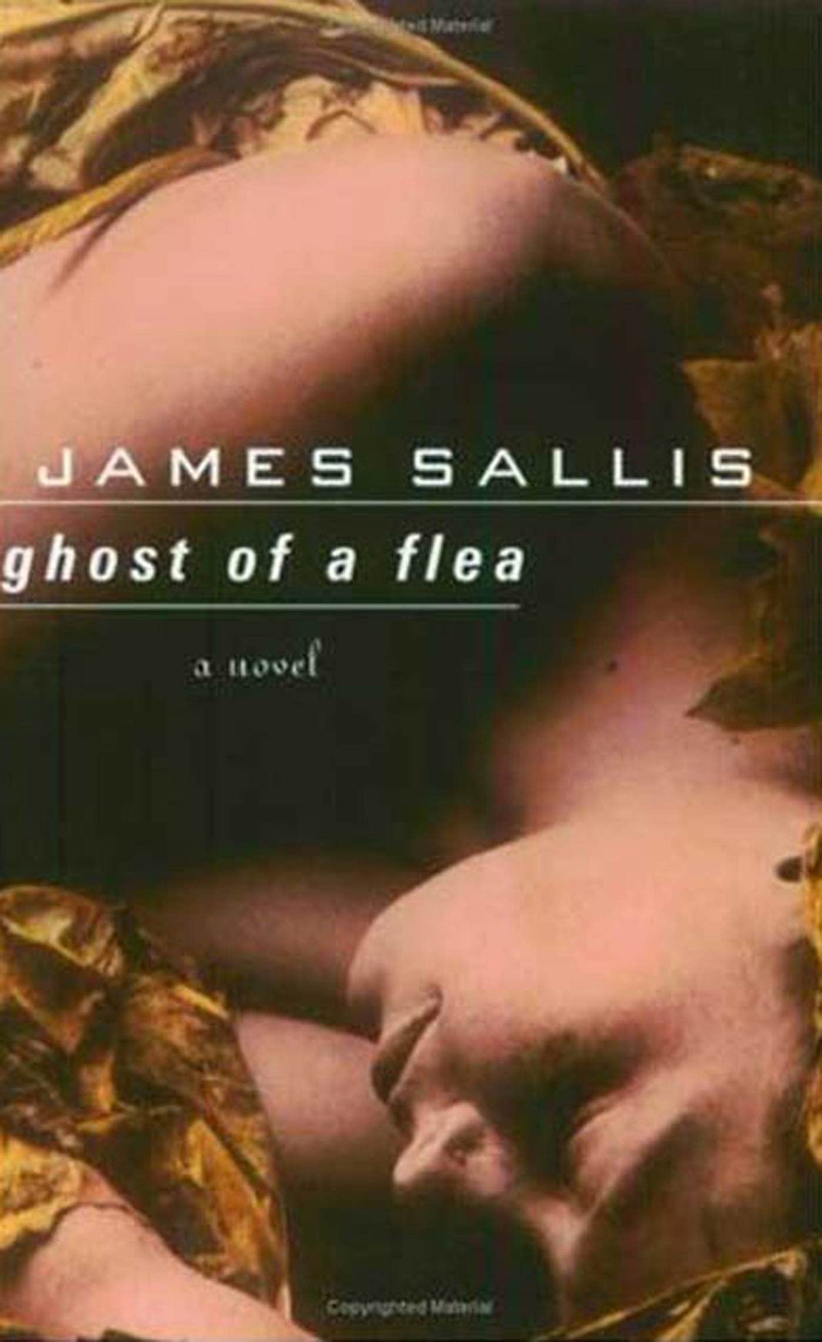 Ghost of a Flea (A Lew Griffin Mystery)