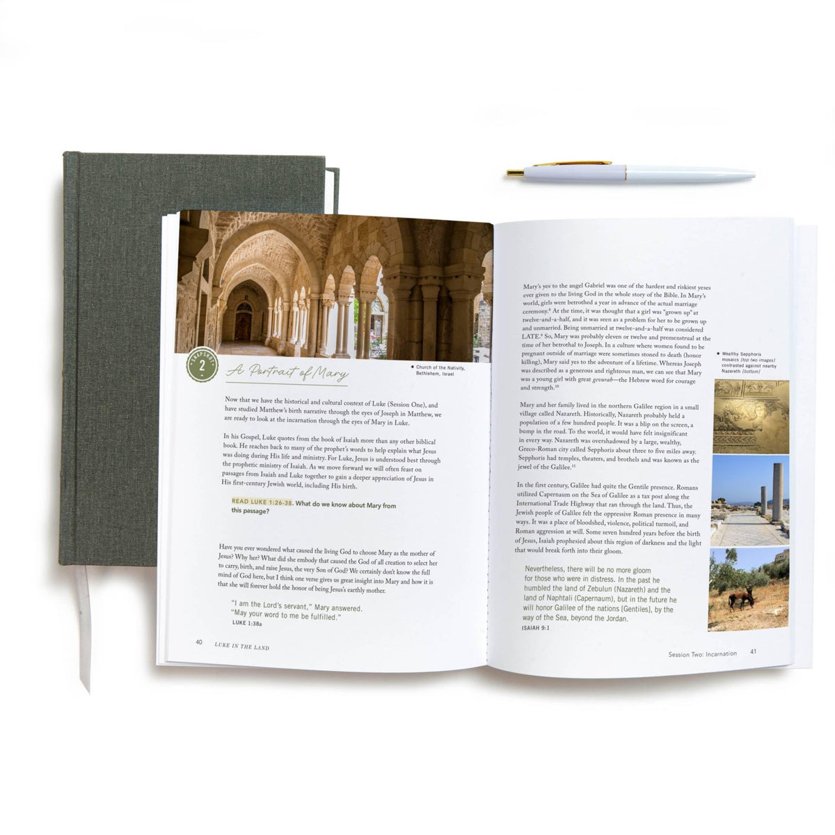 Luke in the Land - Bible Study for Women with Video Access: Walking with Jesus in His First-Century World