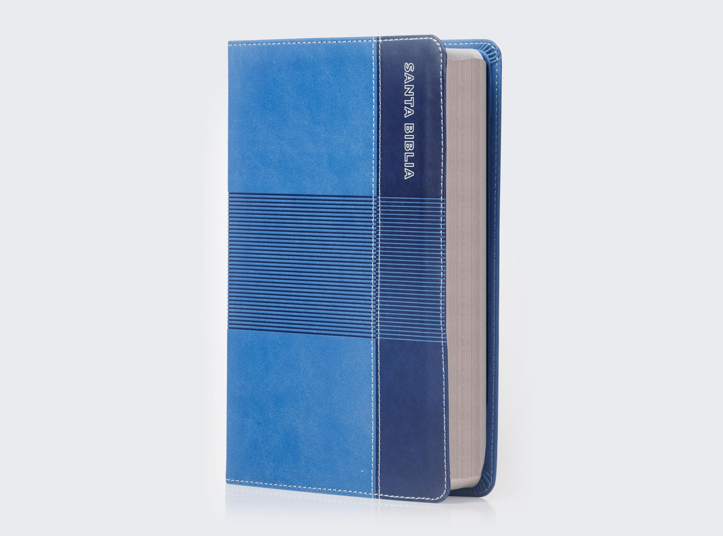RVR60, Biblia de Estudio para Jvenes Adolescentes, Leathersoft, Azul, Palabras de Jess en Rojo, Comfort Print (Spanish Edition)