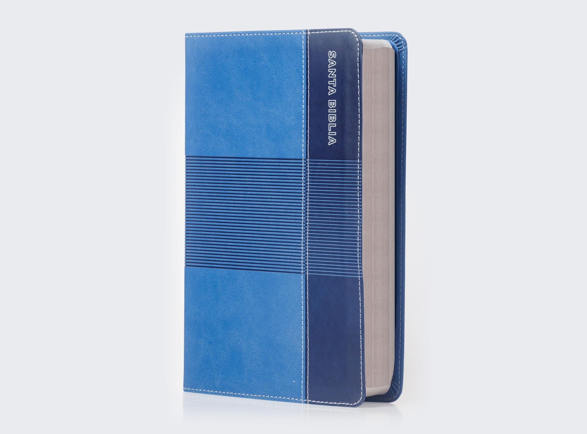 RVR60, Biblia de Estudio para Jvenes Adolescentes, Leathersoft, Azul, Palabras de Jess en Rojo, Comfort Print (Spanish Edition)