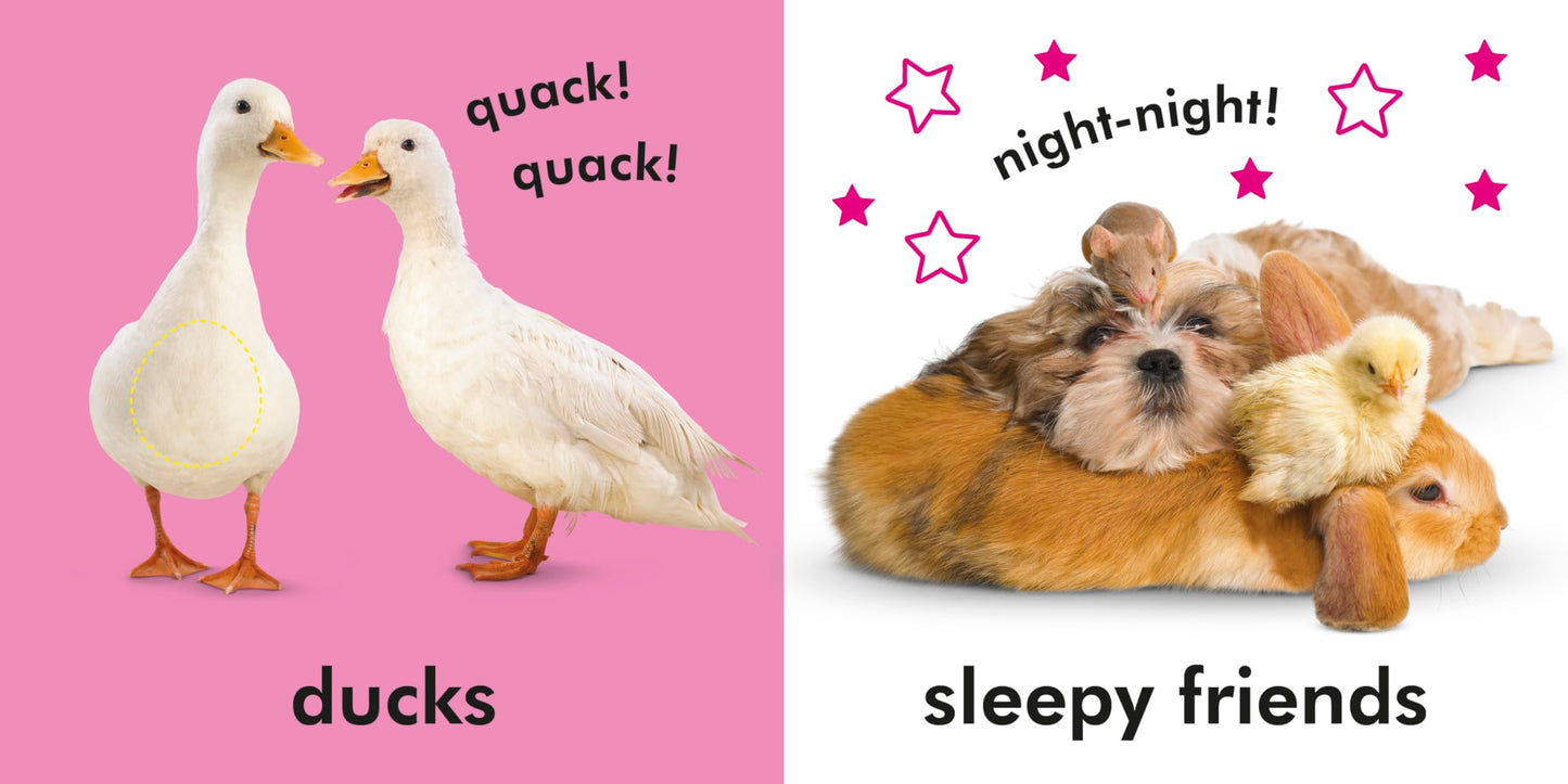 Baby Touch and Feel Farm Friends: An Interactive Animal Board Book