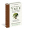 How to Read a Tree: Clues and Patterns from Bark to Leaves (Natural Navigation)