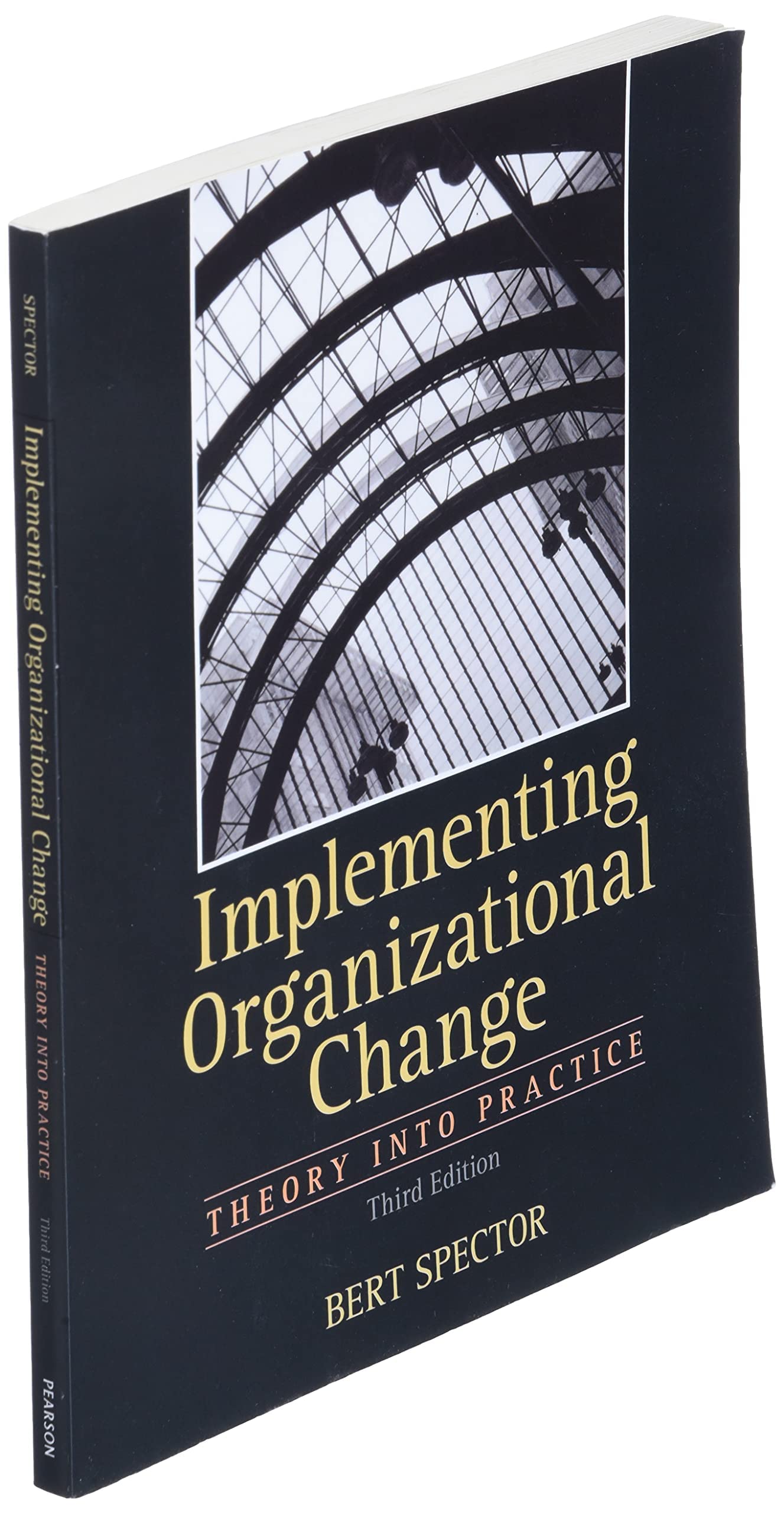 Implementing Organizational Change: Theory Into Practice, 3rd Edition