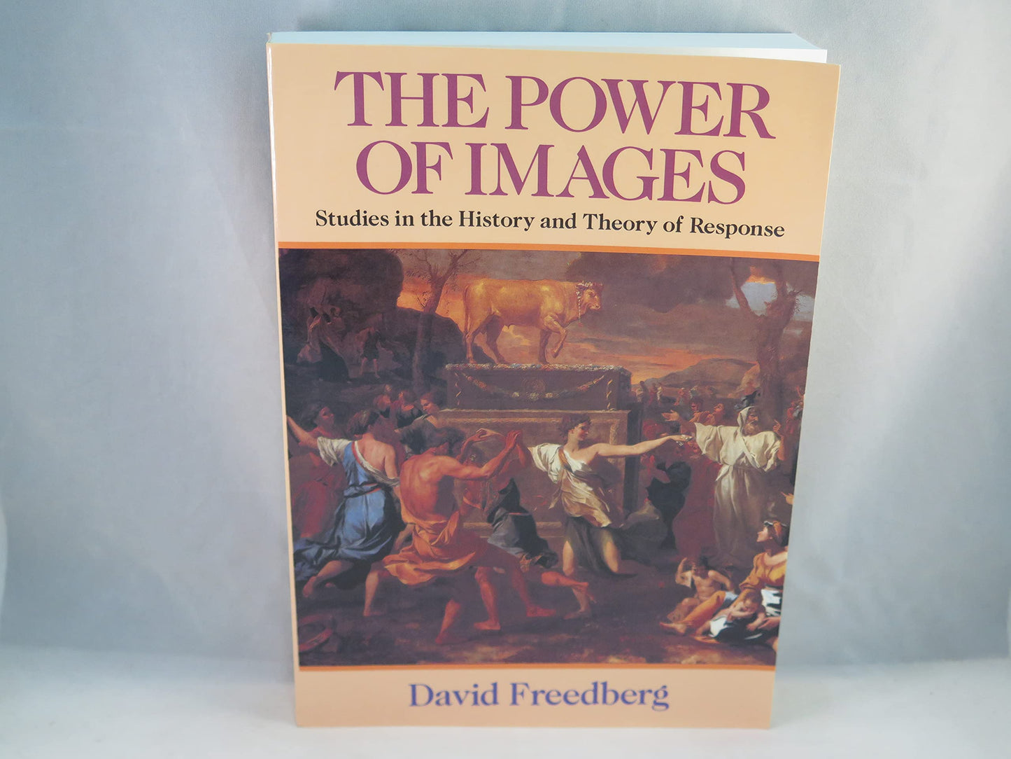 The Power of Images: Studies in the History and Theory of Re