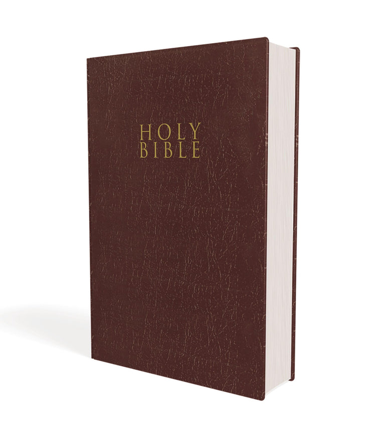 NIV Gift and Award Bible Leather-Look Burgundy Red Letter