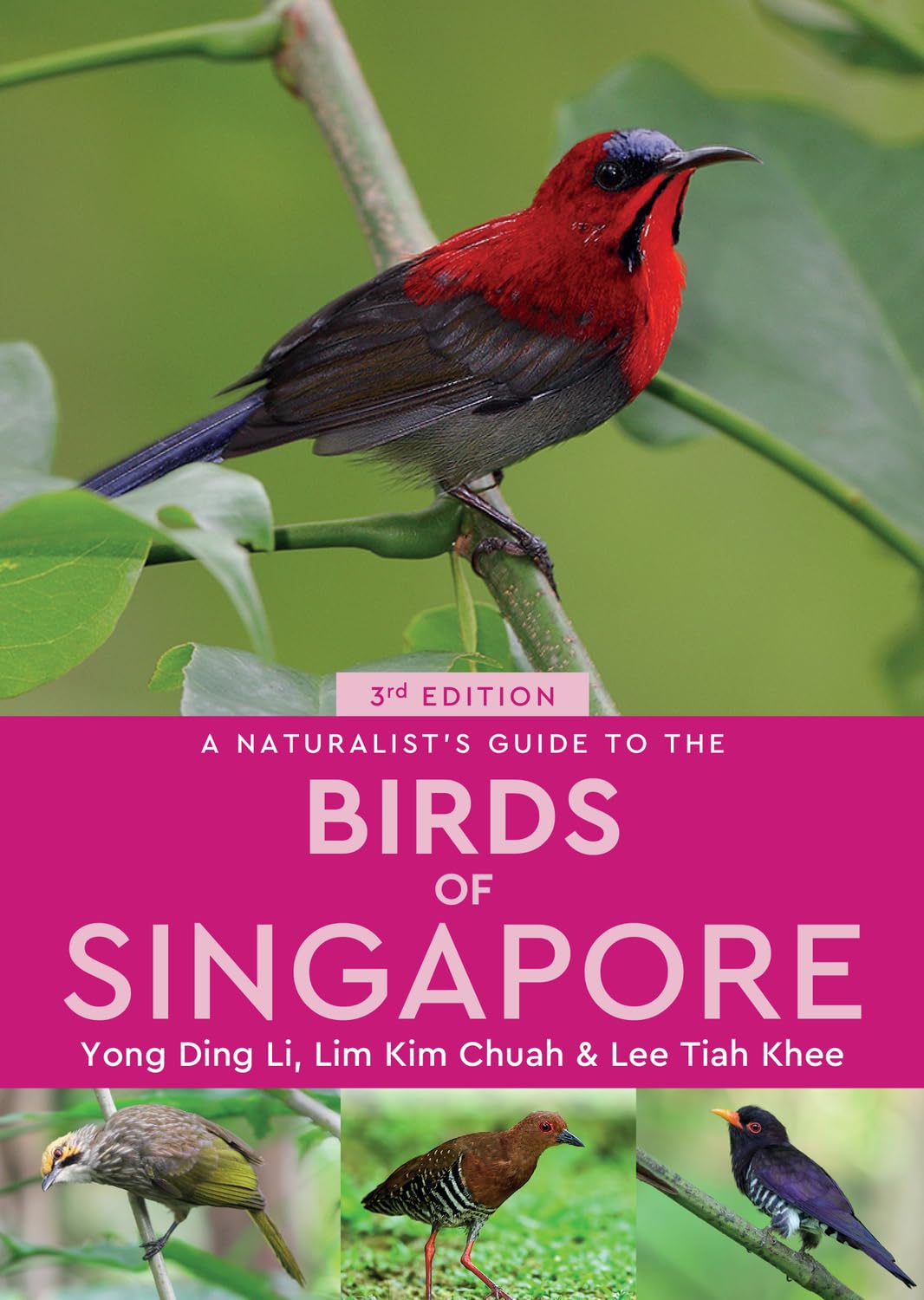 A Naturalist's Guide to the Birds of Singapore (Naturalist's Guides)