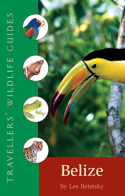 Belize and Northern Guatemala (Traveller's Wildlife Guides): Traveller's Wildlife Guide