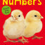 Bright Baby Touch & Feel Numbers (Bright Baby Touch and Feel)