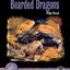 Bearded Dragons: A Complete Guide to Pogona Vitticeps (Complete Herp Care)