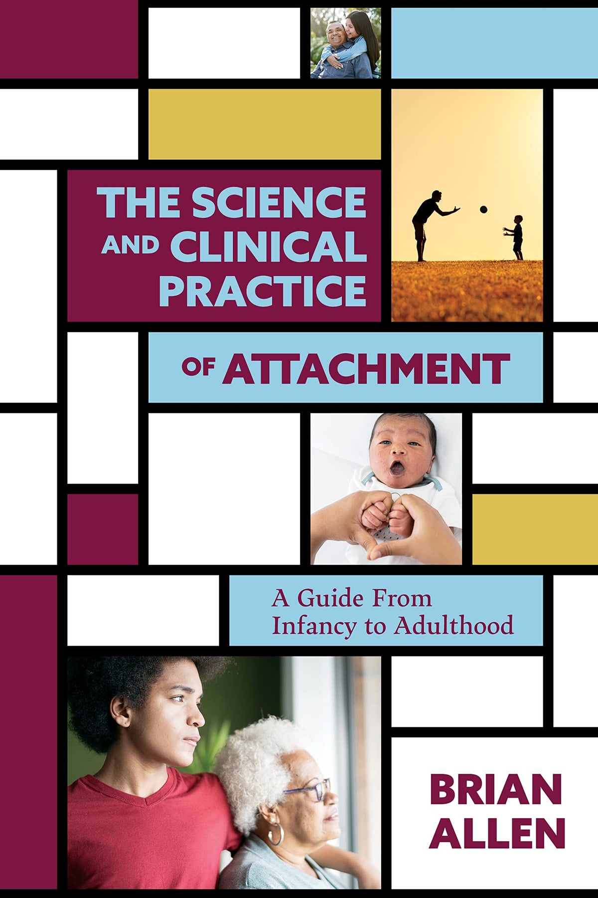 The Science and Clinical Practice of Attachment Theory: A Guide From Infancy to Adulthood