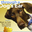 Sounds True Through A Dog's Ear: Vol 1, Music to Calm Your Canine