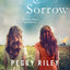 Amity & Sorrow: A Novel
