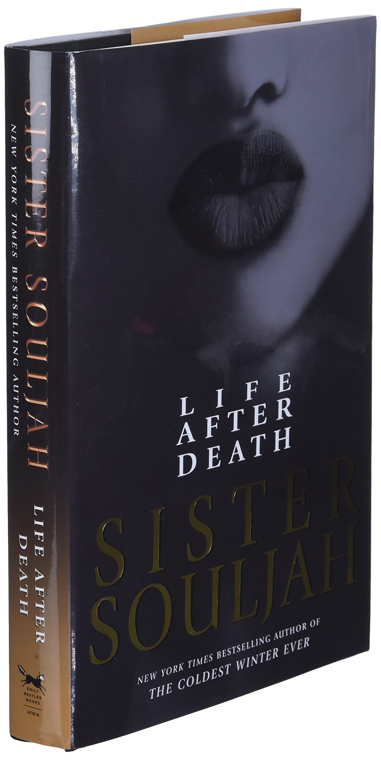 Life After Death: A Novel (2) (The Winter Santiaga Series) b
