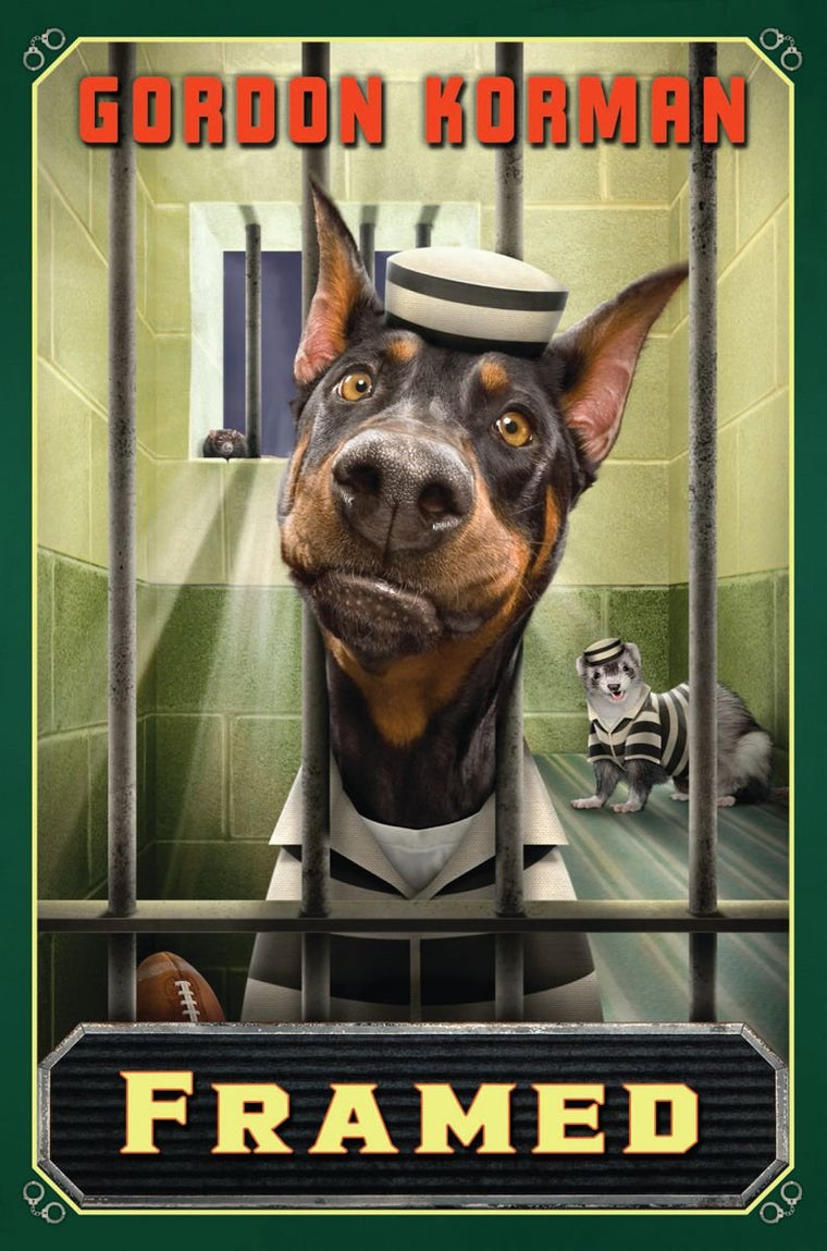 Framed (Swindle #3) (3)