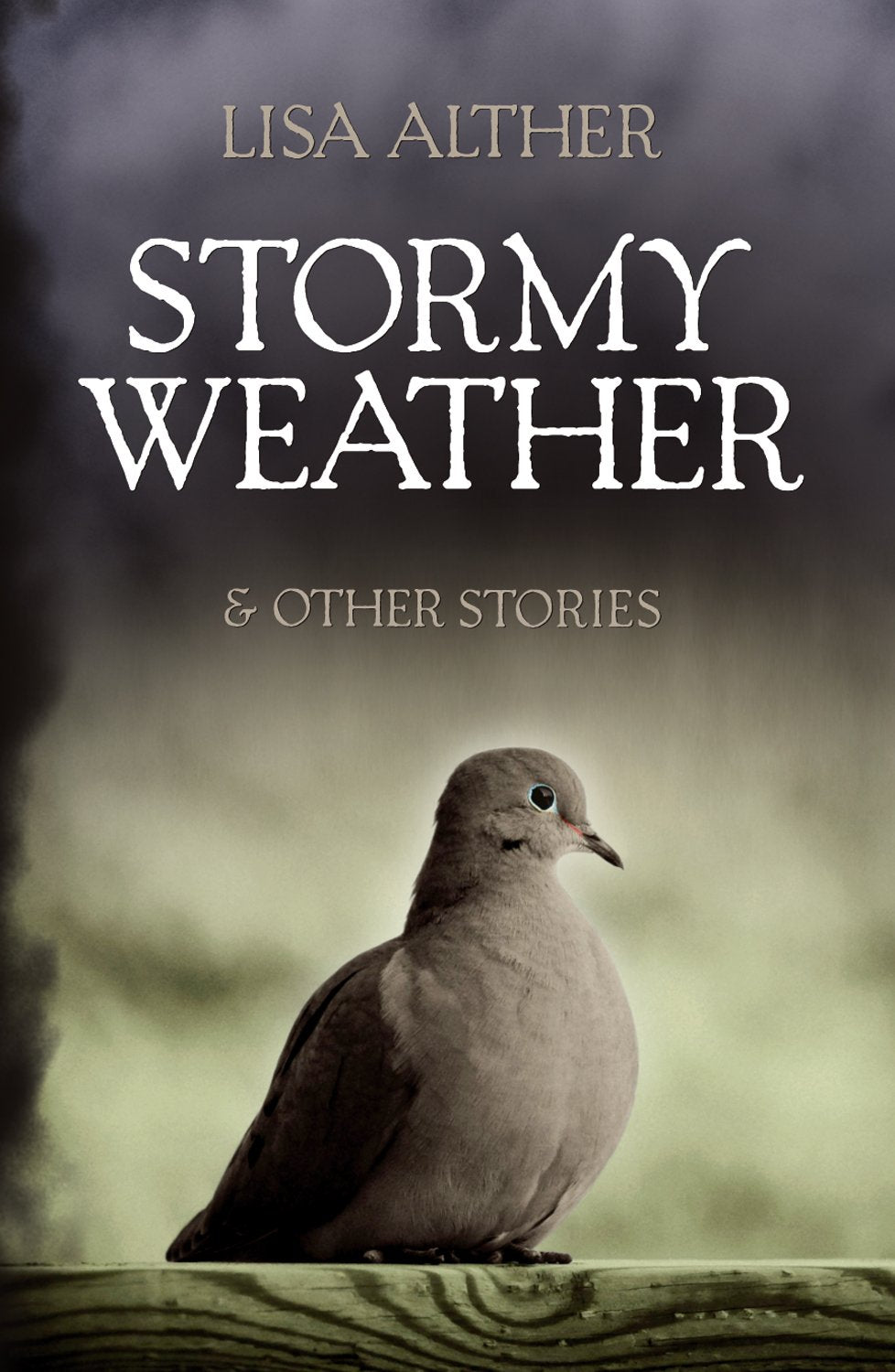 Stormy Weather & Other Stories