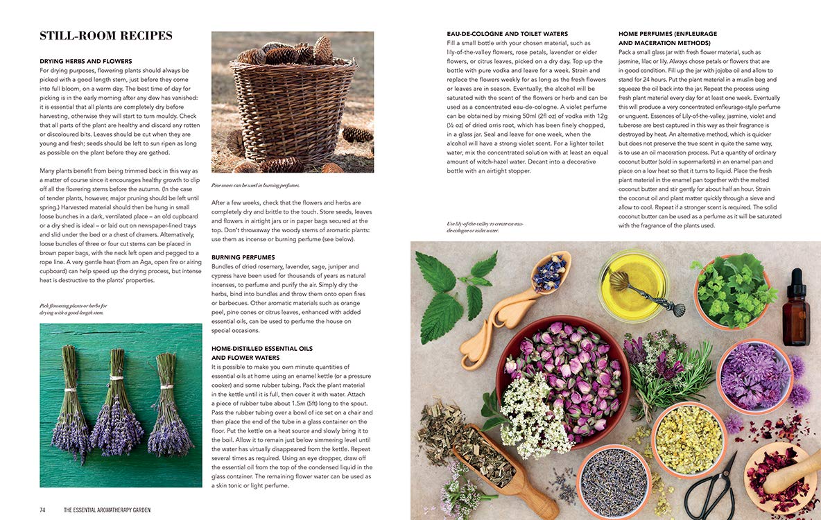 Essential Aromatherapy Garden: Growing and Using Scented Plants and Herbs