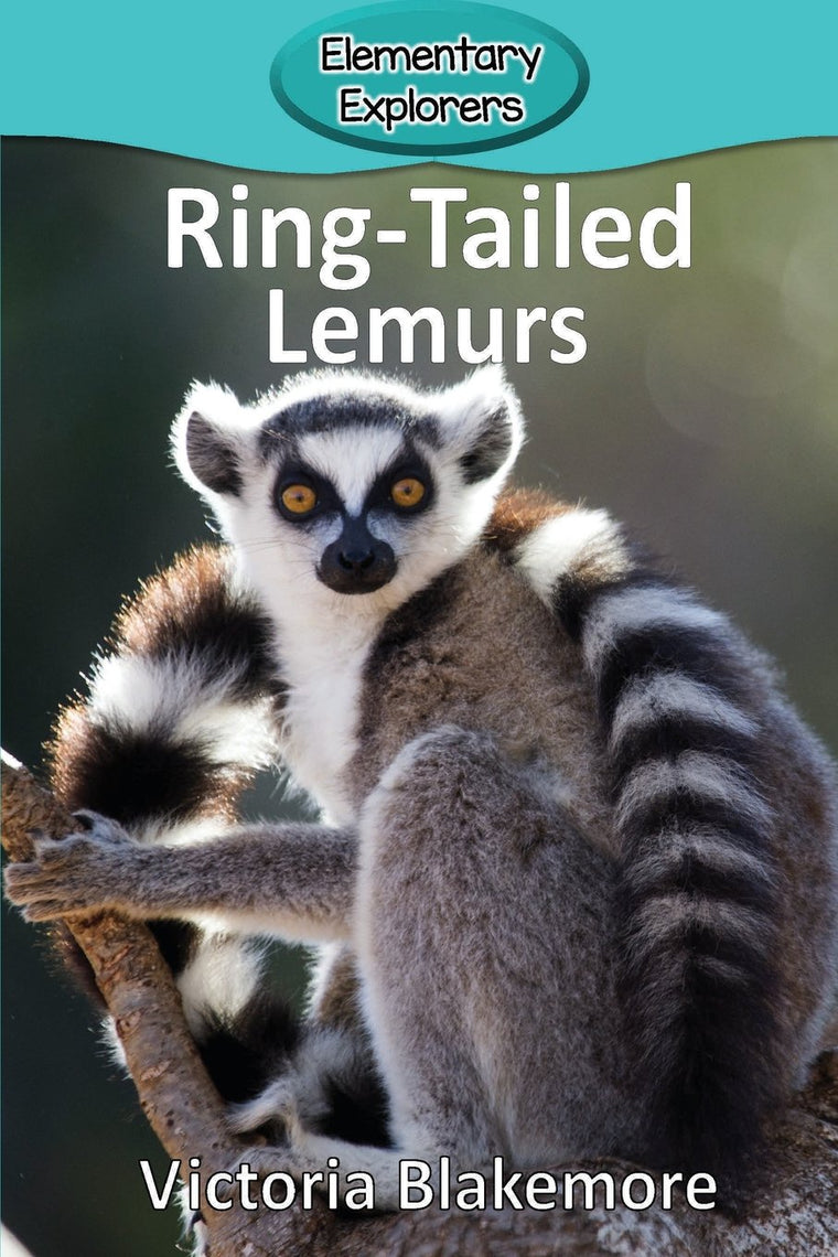Ring-Tailed Lemurs (Elementary Explorers)