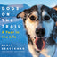 Dogs on the Trail: A Year in the Life