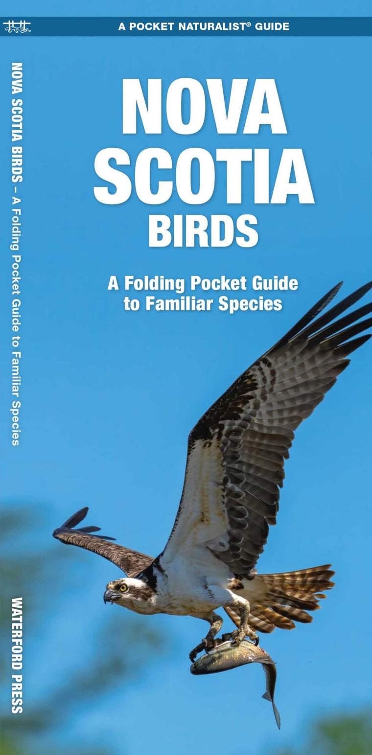 Nova Scotia Birds: A Folding Pocket Guide to Familiar Species (Nature Observation North America)