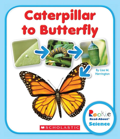 Caterpillar to Butterfly (Rookie Read-About Science: Life Cycles)