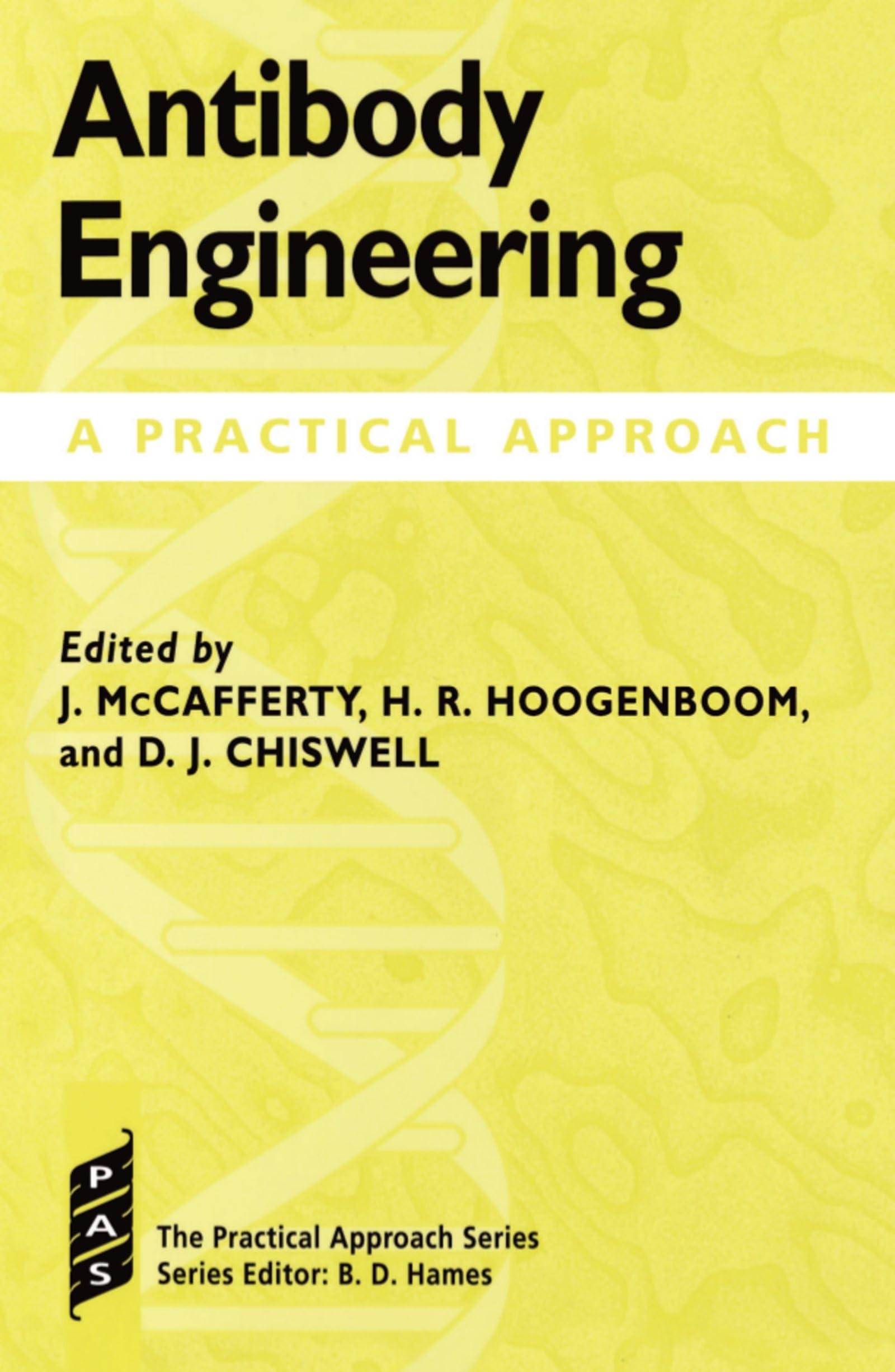 Antibody Engineering: A Practical Approach (Practical Approach Series)