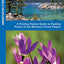 Sierra Nevada Trees & Wildflowers: A Folding Pocket Guide to Familiar Plants of the Montane Forest Region (Wildlife and Nature Identification)