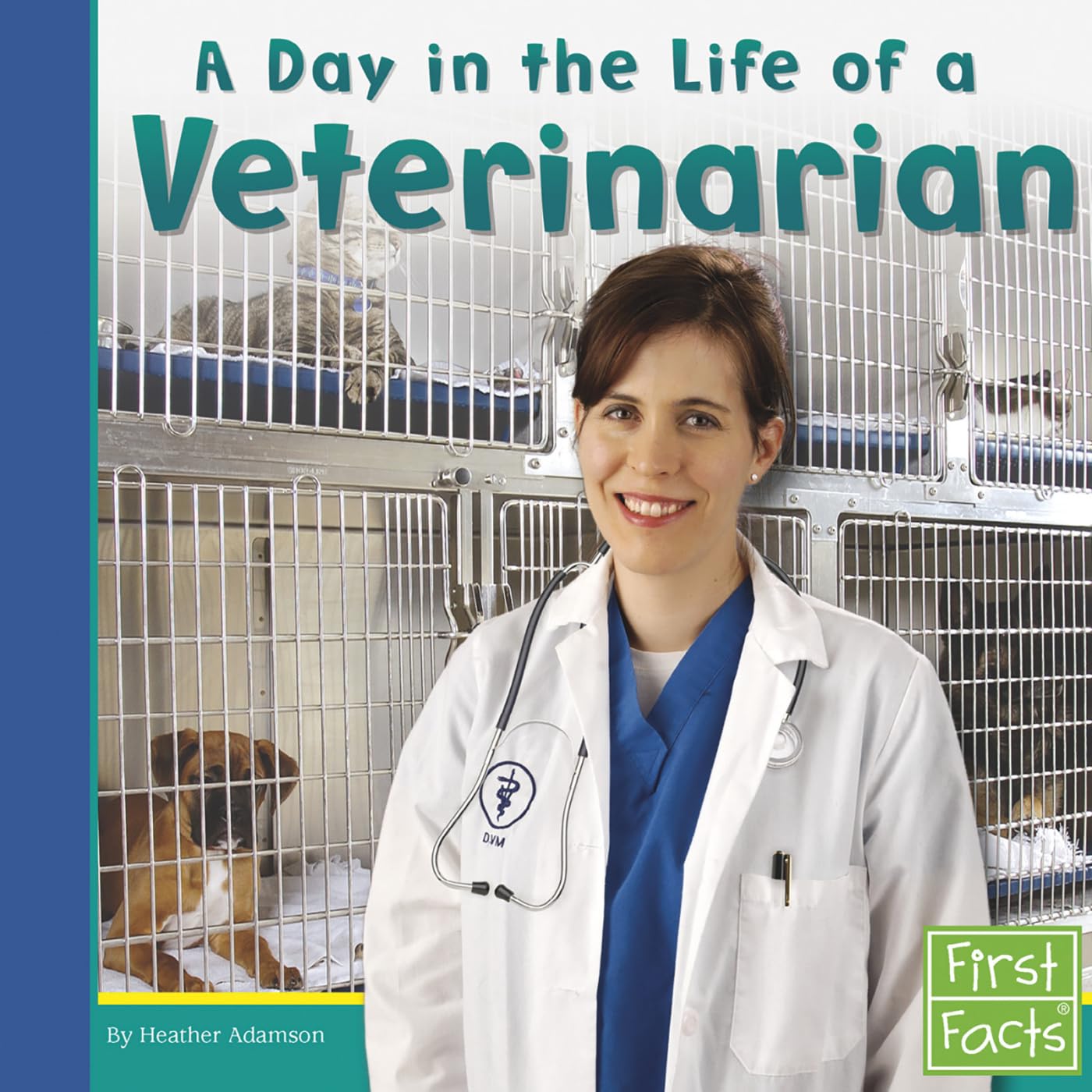A Day in the Life of a Veterinarian (Community Helpers at Work)