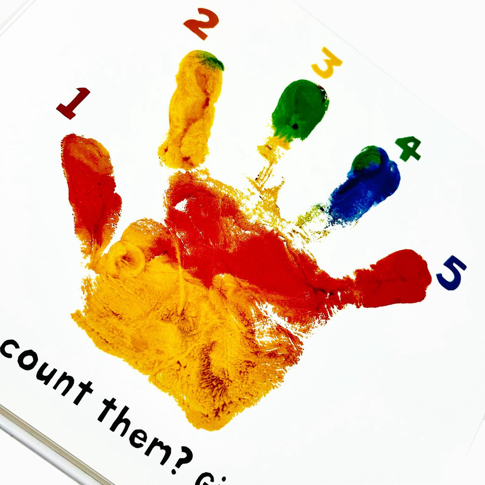 See, Touch, Feel a First Sensory Book Collection 3 Books Set(See, Touch, Feel 123,See, Touch, Feel ABC & See, Touch, Feel Colours)