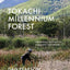 Tokachi Millennium Forest: Pioneering a New Way of Gardening With Nature