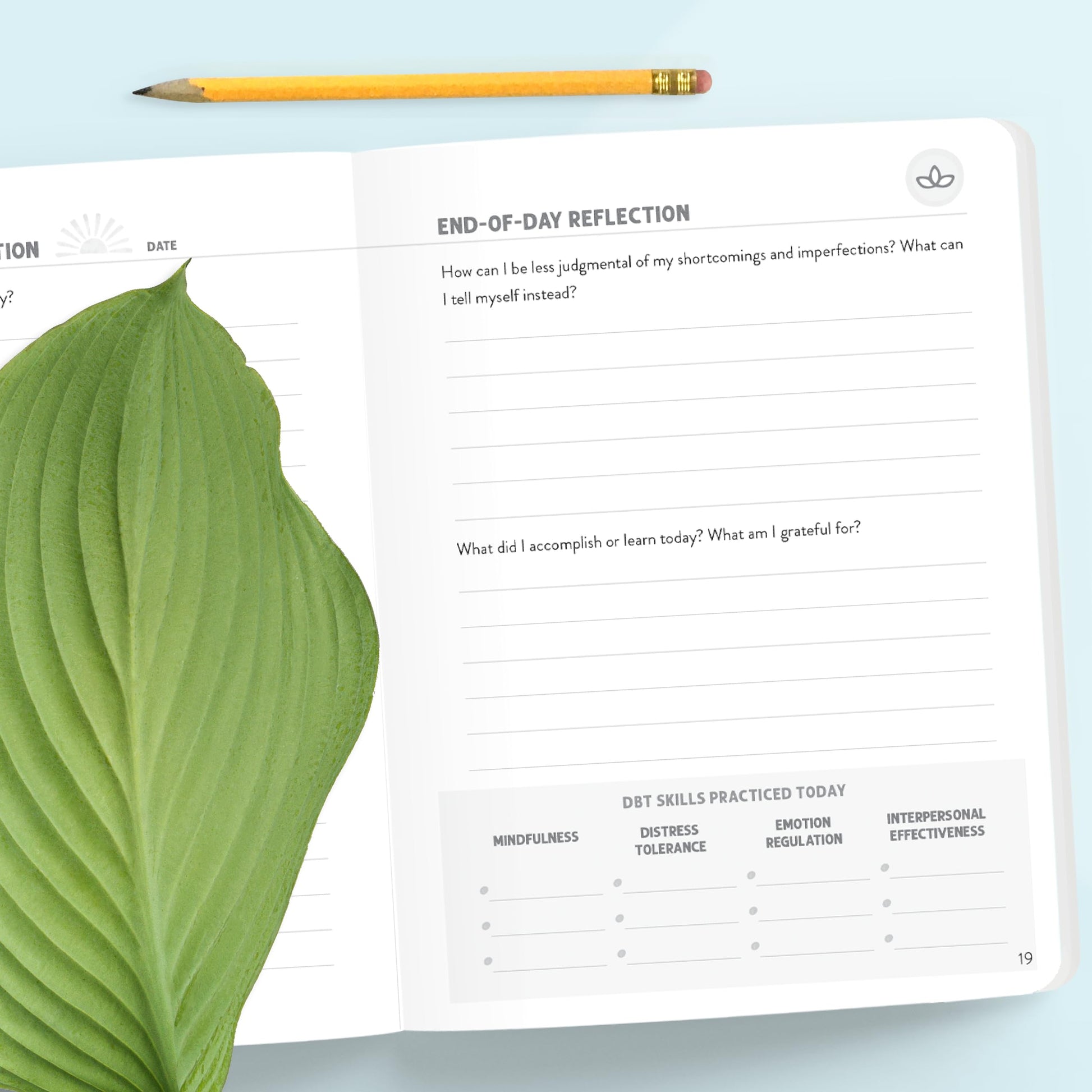 The DBT Skills Daily Journal: 10 Minutes a Day to Soothe Your Emotions with Dialectical Behavior Therapy (The New Harbinger Journals for Change Series)