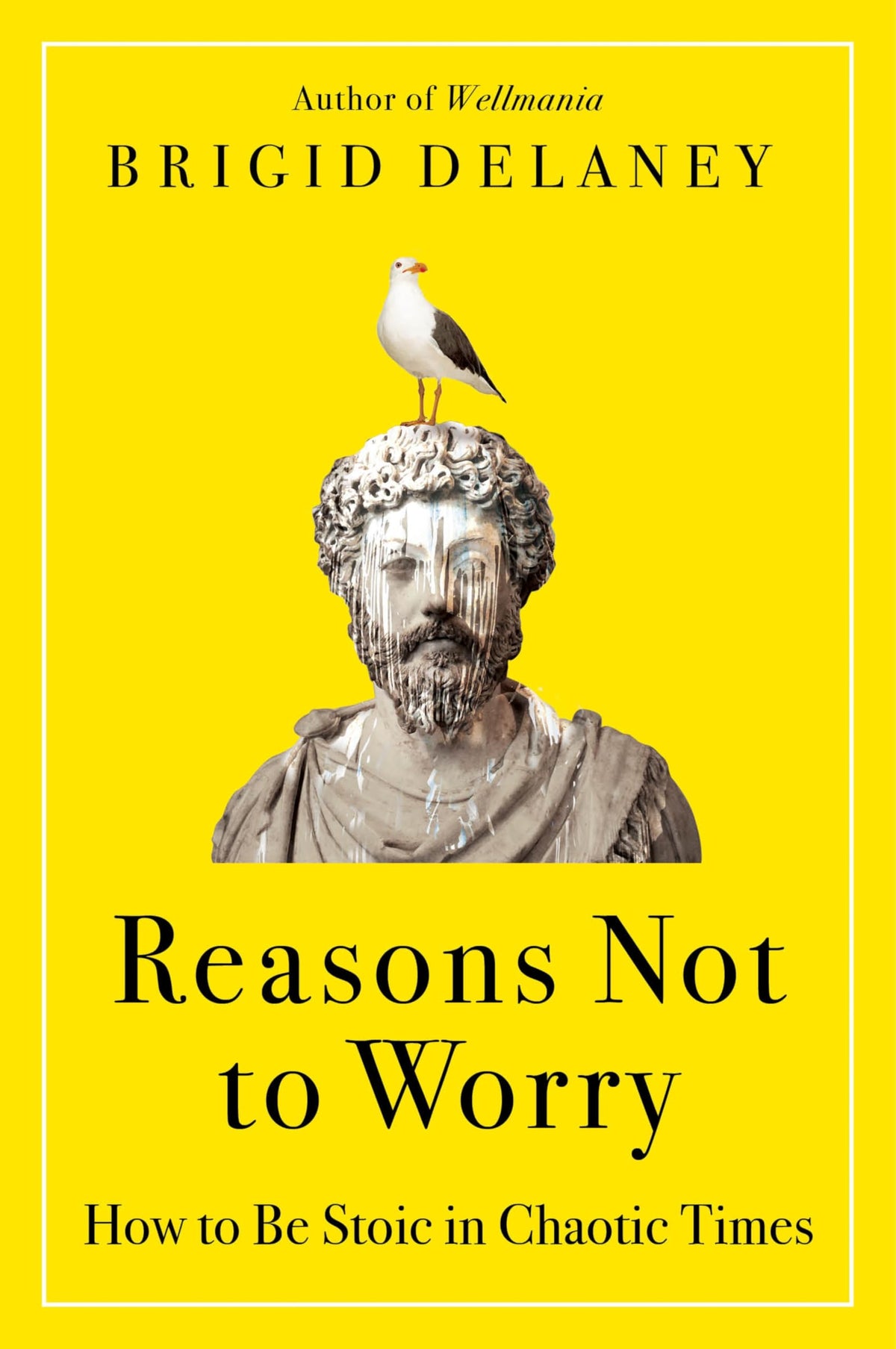 Reasons Not to Worry: How to Be Stoic in Chaotic Times-A Practical Guide to Stoicism for Self-Improvement and Personal Growth