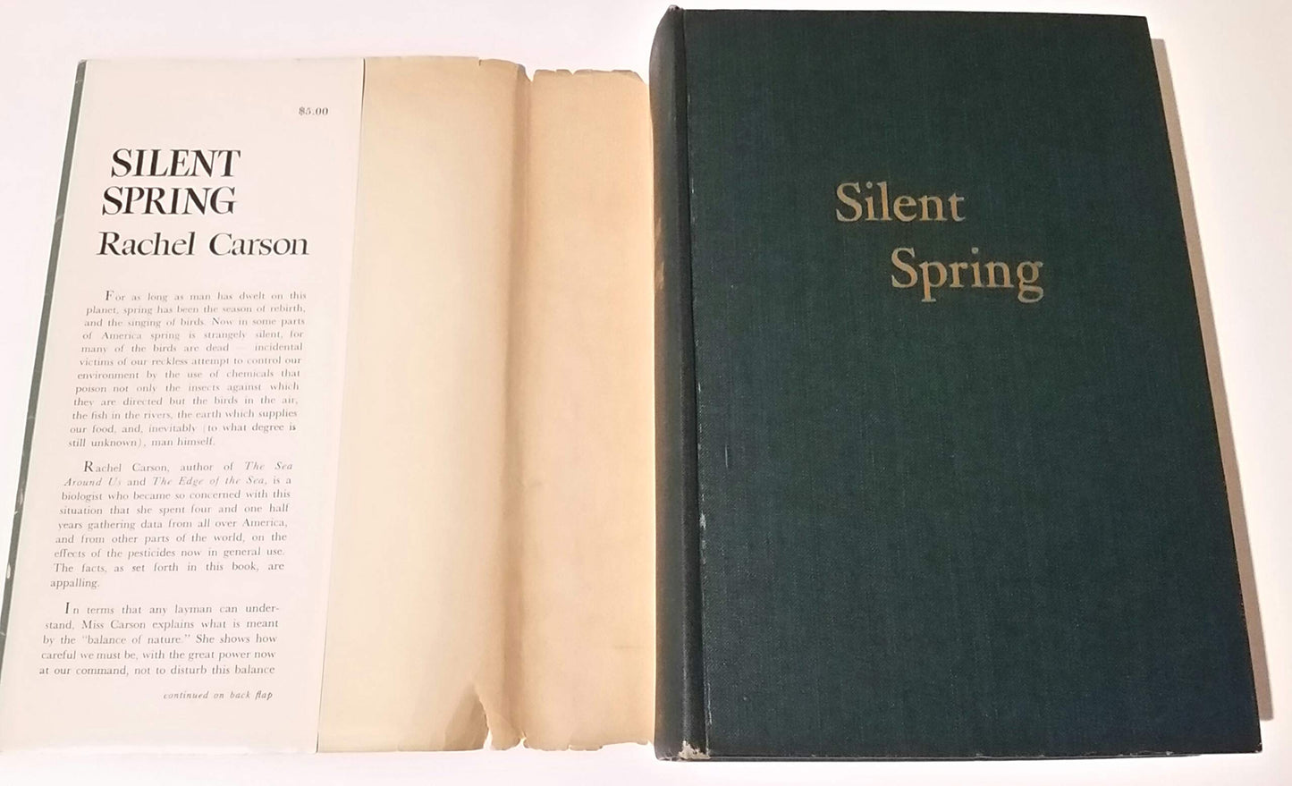Silent spring by Carson, Rachel