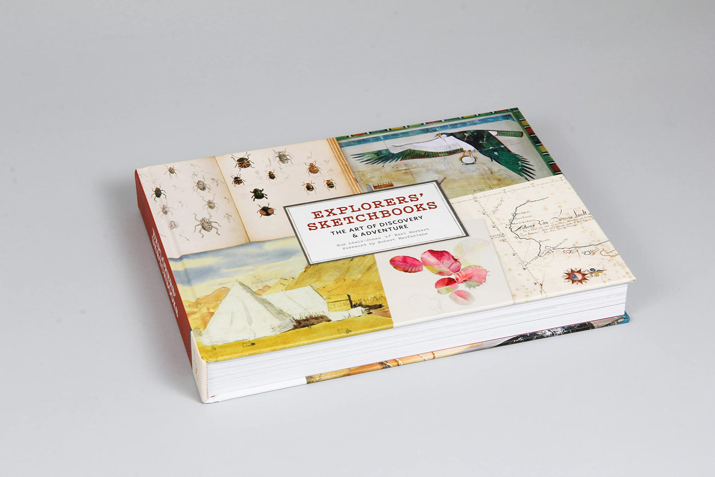 Explorers' Sketchbooks: The Art of Discovery & Adventure (Ar