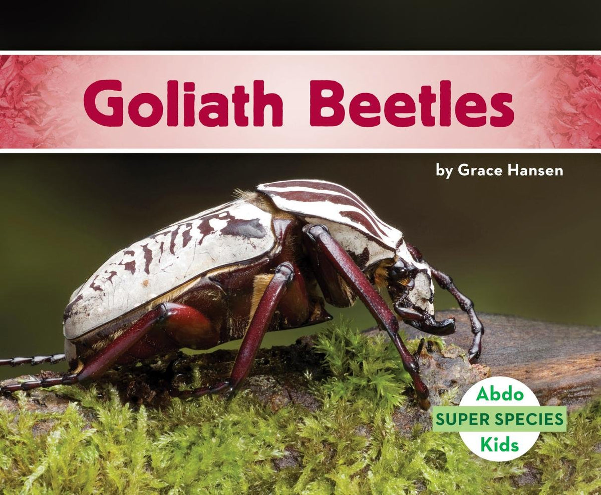 Goliath Beetles (Super Species)