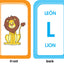 School Zone Spanish Alphabet Flash Cards: 56 Cards, Preschool, Kindergarten, Abecedario Tarjetas Ilustrativas, ABC's, Alphabetical Order, Bilingual, ESL, Language Immersion (Spanish/English Edition)