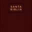 Biblia premio y regalo NTV, Edición económica (ViniPiel, Vino tinto, Letra Roja) (Spanish Edition)