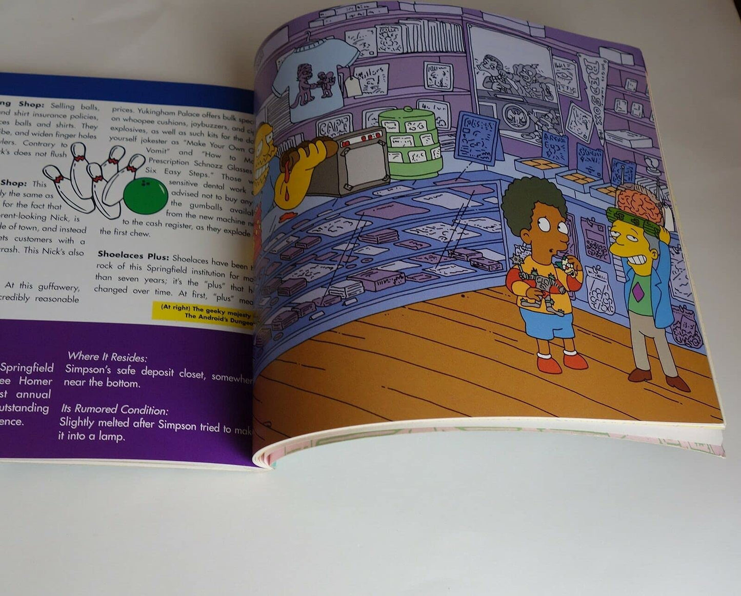 The Simpsons Guide to Springfield