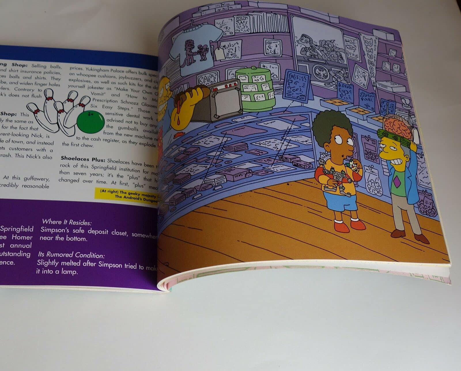 The Simpsons Guide to Springfield