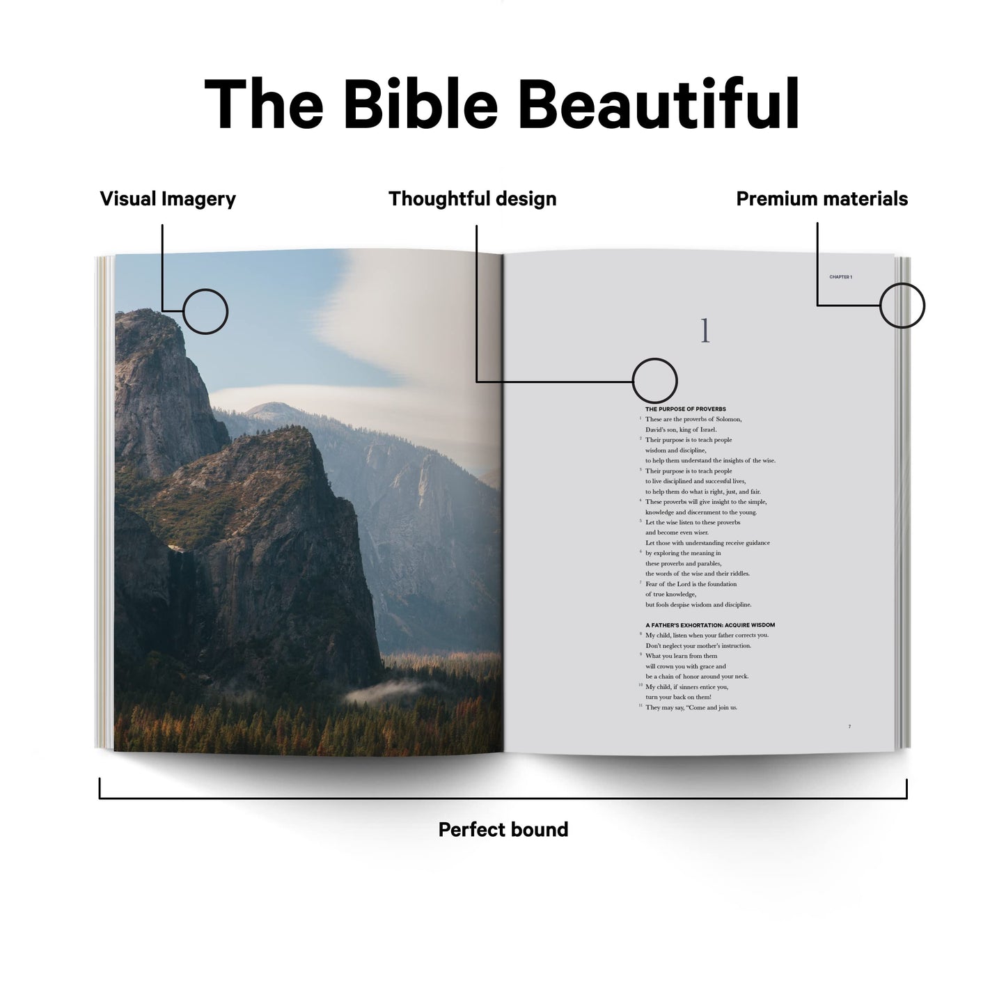 Book of Proverbs - Alabaster Bible (Alabaster Co.)