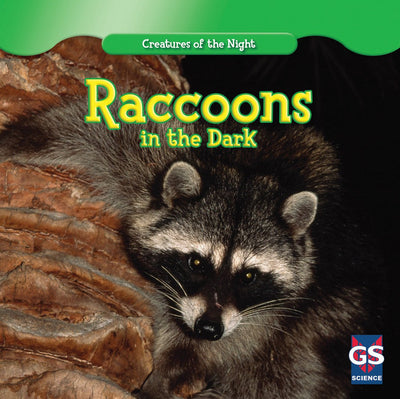 Raccoons in the Dark (Creatures of the Night)
