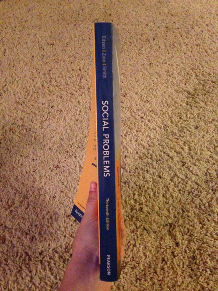 Social Problems (13th Edition)