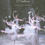 Nutcracker Nation: How an Old World Ballet Became a Christmas Tradition in the New World