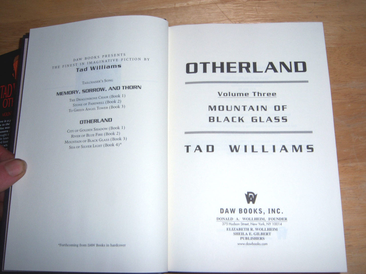 Otherland: Volume Three: Mountain of Black Glass