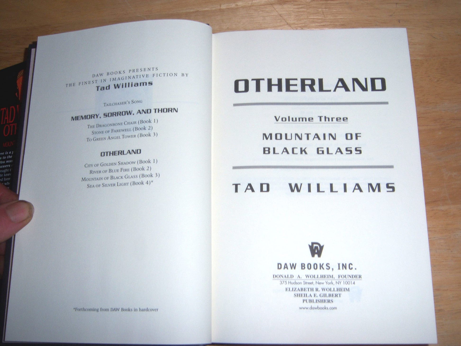 Otherland: Volume Three: Mountain of Black Glass