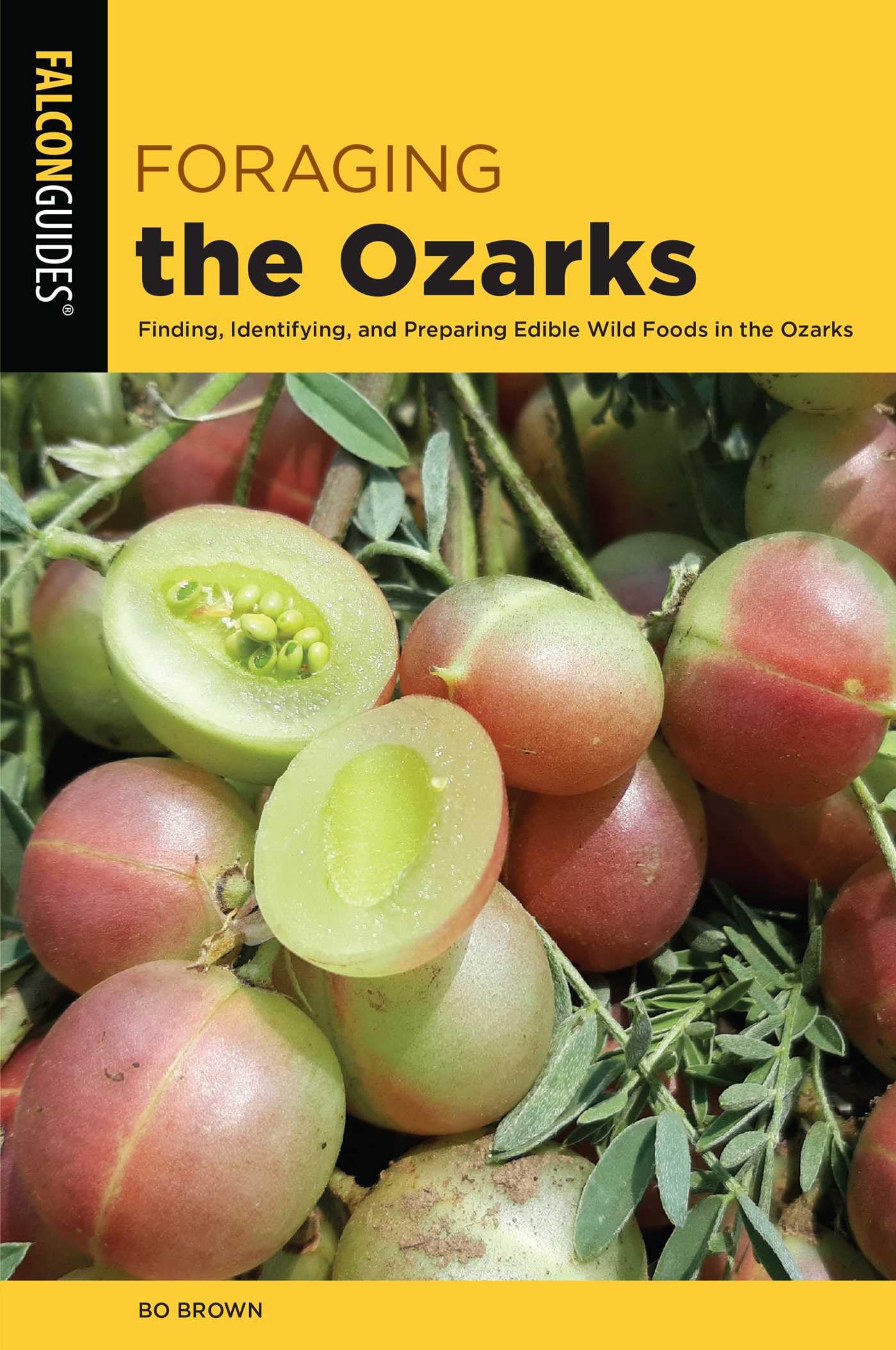 Foraging the Ozarks (Foraging Series)